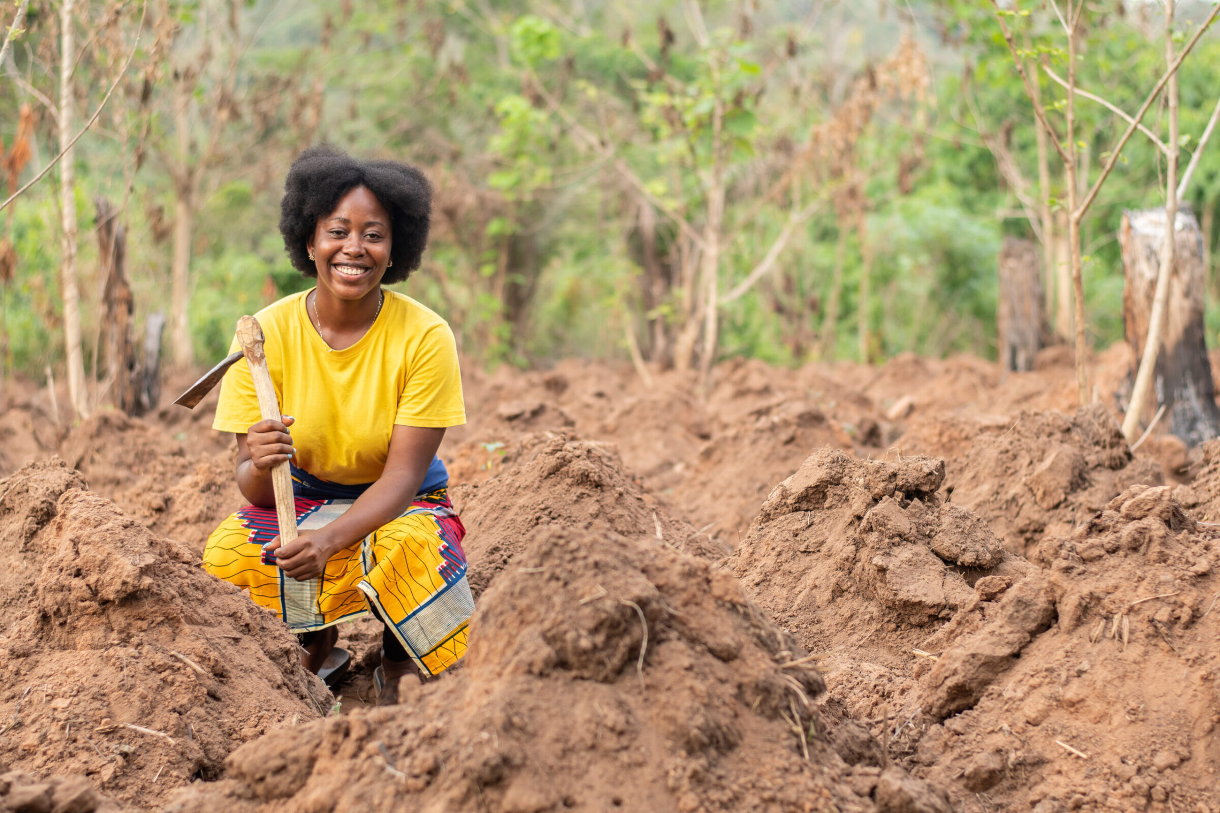 Soil Management